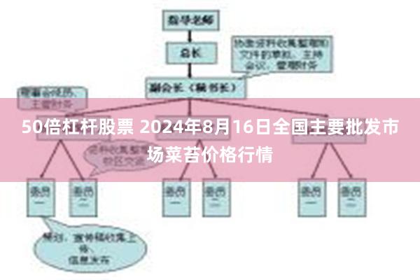 50倍杠杆股票 2024年8月16日全国主要批发市场菜苔价格行情