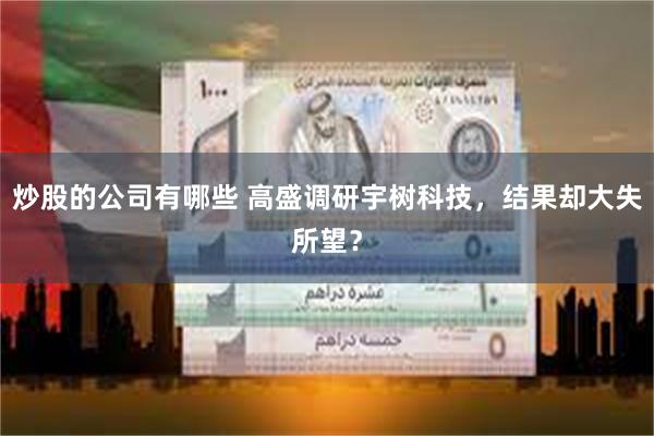 炒股的公司有哪些 高盛调研宇树科技，结果却大失所望？