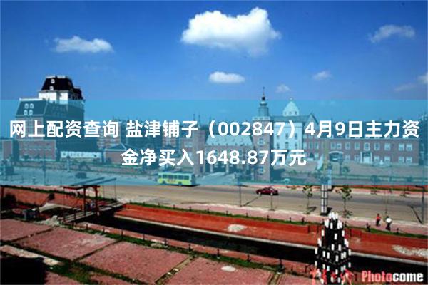 网上配资查询 盐津铺子（002847）4月9日主力资金净买入1648.87万元
