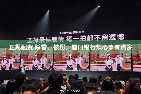 正规配资 踩雷、被罚，厦门银行烦心事有点多