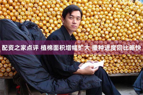 配资之家点评 植棉面积增幅扩大 播种进度同比略快