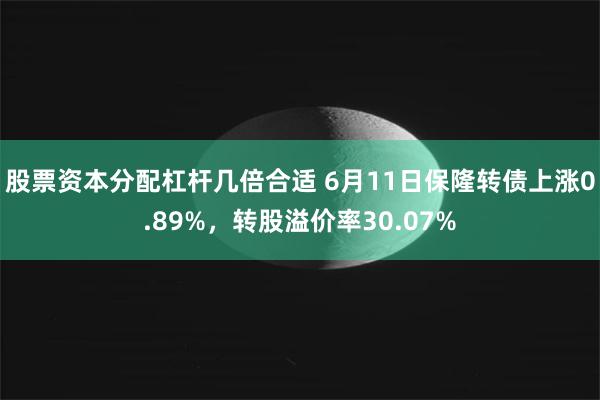 股票资本分配杠杆几倍合适 6月11日保隆转债上涨0.89%，转股溢价率30.07%
