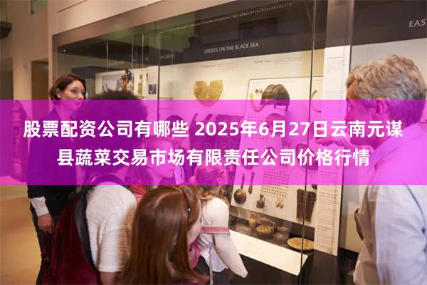 股票配资公司有哪些 2025年6月27日云南元谋县蔬菜交易市场有限责任公司价格行情