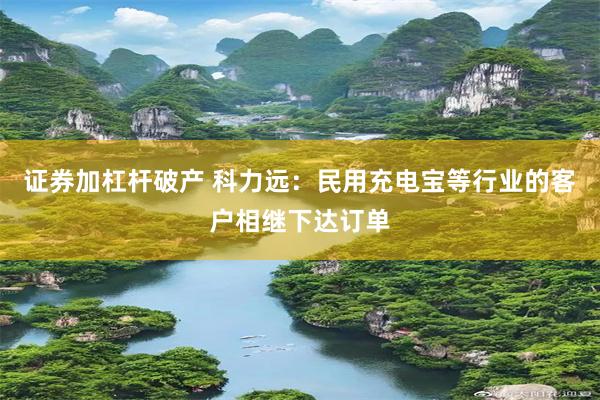 证券加杠杆破产 科力远：民用充电宝等行业的客户相继下达订单